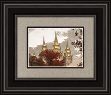 Load image into Gallery viewer, Salt Lake Temple 05
