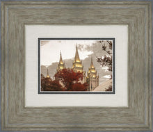 Load image into Gallery viewer, Salt Lake Temple 05
