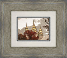 Load image into Gallery viewer, Salt Lake Temple 05
