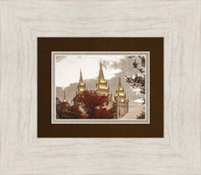 Load image into Gallery viewer, Salt Lake Temple 05
