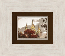 Load image into Gallery viewer, Salt Lake Temple 05
