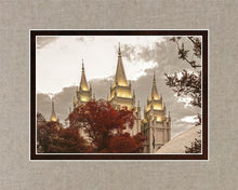 Load image into Gallery viewer, Salt Lake Temple 05
