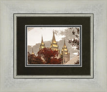 Load image into Gallery viewer, Salt Lake Temple 05
