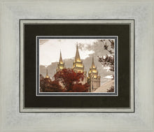 Load image into Gallery viewer, Salt Lake Temple 05
