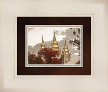 Load image into Gallery viewer, Salt Lake Temple 05
