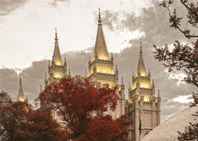 Load image into Gallery viewer, Salt Lake Temple 05
