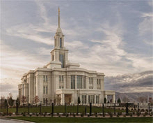 Load image into Gallery viewer, Payson Genesis

