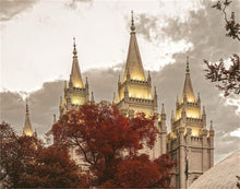 Load image into Gallery viewer, Salt Lake Temple 05
