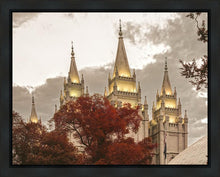 Load image into Gallery viewer, Salt Lake Temple 05
