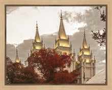 Load image into Gallery viewer, Salt Lake Temple 05

