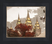 Load image into Gallery viewer, Salt Lake Temple 05
