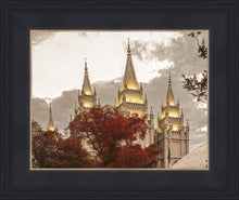 Load image into Gallery viewer, Salt Lake Temple 05

