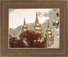 Load image into Gallery viewer, Salt Lake Temple 05
