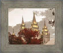 Load image into Gallery viewer, Salt Lake Temple 05
