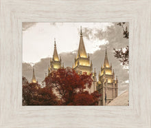 Load image into Gallery viewer, Salt Lake Temple 05
