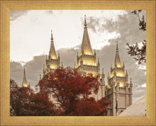 Load image into Gallery viewer, Salt Lake Temple 05
