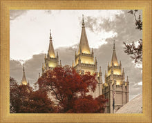 Load image into Gallery viewer, Salt Lake Temple 05
