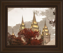 Load image into Gallery viewer, Salt Lake Temple 05
