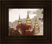 Load image into Gallery viewer, Salt Lake Temple 05
