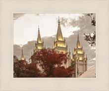 Load image into Gallery viewer, Salt Lake Temple 05
