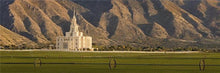 Load image into Gallery viewer, Payson Foothills
