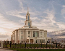 Load image into Gallery viewer, Payson Genesis
