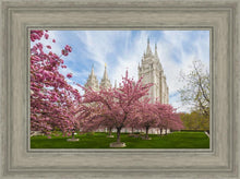 Load image into Gallery viewer, Salt Lake Spring Blossoms

