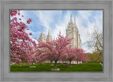 Load image into Gallery viewer, Salt Lake Spring Blossoms
