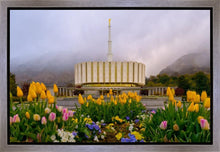 Load image into Gallery viewer, Provo Spring Tulips
