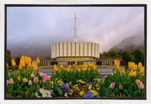 Load image into Gallery viewer, Provo Spring Tulips
