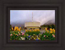 Load image into Gallery viewer, Provo Spring Tulips
