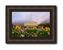Load image into Gallery viewer, Provo Spring Tulips

