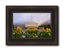 Load image into Gallery viewer, Provo Spring Tulips
