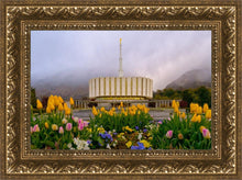 Load image into Gallery viewer, Provo Spring Tulips
