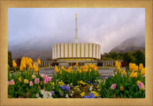 Load image into Gallery viewer, Provo Spring Tulips
