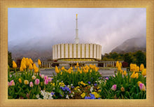 Load image into Gallery viewer, Provo Spring Tulips
