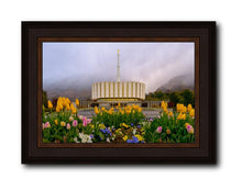 Load image into Gallery viewer, Provo Spring Tulips
