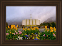Load image into Gallery viewer, Provo Spring Tulips
