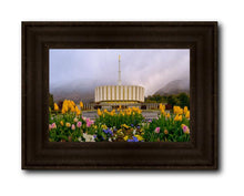 Load image into Gallery viewer, Provo Spring Tulips
