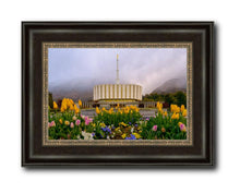 Load image into Gallery viewer, Provo Spring Tulips
