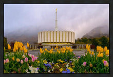 Load image into Gallery viewer, Provo Spring Tulips
