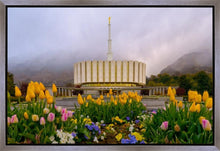 Load image into Gallery viewer, Provo Spring Tulips
