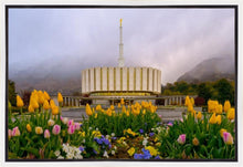 Load image into Gallery viewer, Provo Spring Tulips
