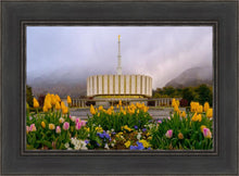 Load image into Gallery viewer, Provo Spring Tulips

