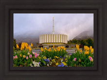 Load image into Gallery viewer, Provo Spring Tulips
