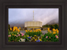 Load image into Gallery viewer, Provo Spring Tulips
