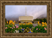 Load image into Gallery viewer, Provo Spring Tulips
