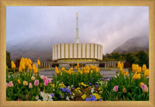 Load image into Gallery viewer, Provo Spring Tulips
