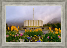 Load image into Gallery viewer, Provo Spring Tulips
