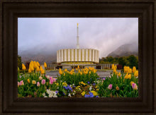 Load image into Gallery viewer, Provo Spring Tulips
